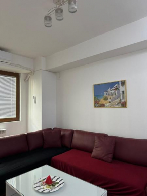 Fine apartment